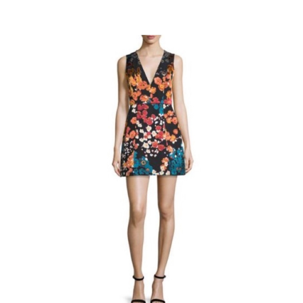Alice & Olivia Floral Patty Dress